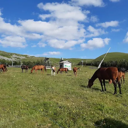6 Personnes Chastreix Sancy Dienne